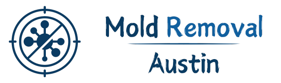 Expert Mold Removal Services in Austin, TX